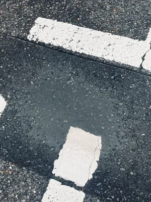 雨上がり