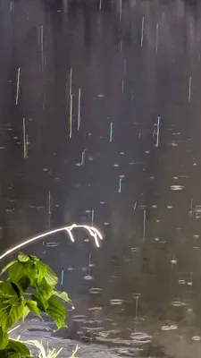 雨の夜③(縦)