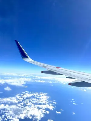 飛行機から見えた空