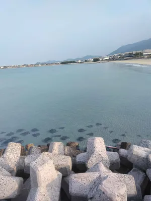 海2