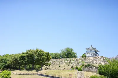 青空に映える歴史的城郭風景