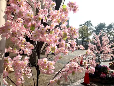 リバーウォーク造花の桜