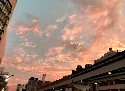 セントシティー南東角2