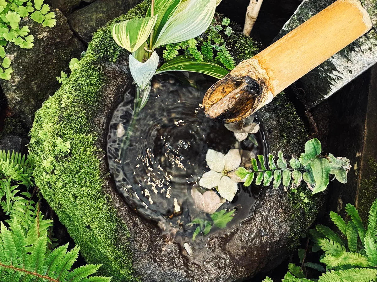 自然と調和する風情あふれる竹筒の水