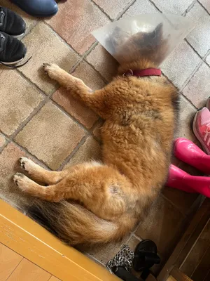留守番中の避暑地