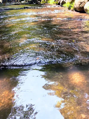 大分の川