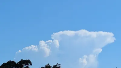 空島がありそうな雲